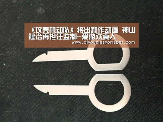 爱游戏电竞