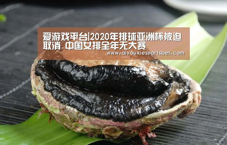爱游戏平台|2020年排球亚洲杯被迫取消 中国女排全年无大赛(图4) 爱游戏真人