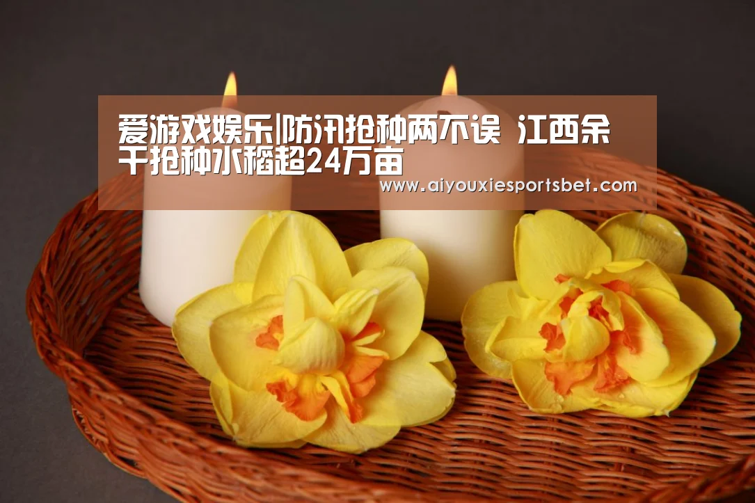 爱游戏娱乐|防汛抢种两不误 江西余干抢种水稻超24万亩(图3) 爱游戏平台