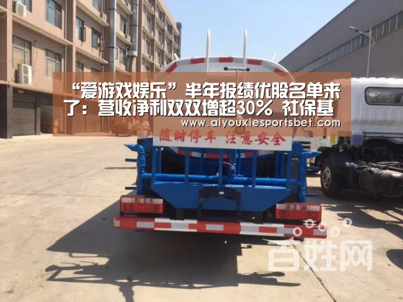 “爱游戏娱乐”半年报绩优股名单来了:营收净利双双增超30% 社保基金加仓(图2) 爱游戏平台