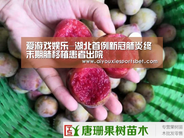 爱游戏娱乐