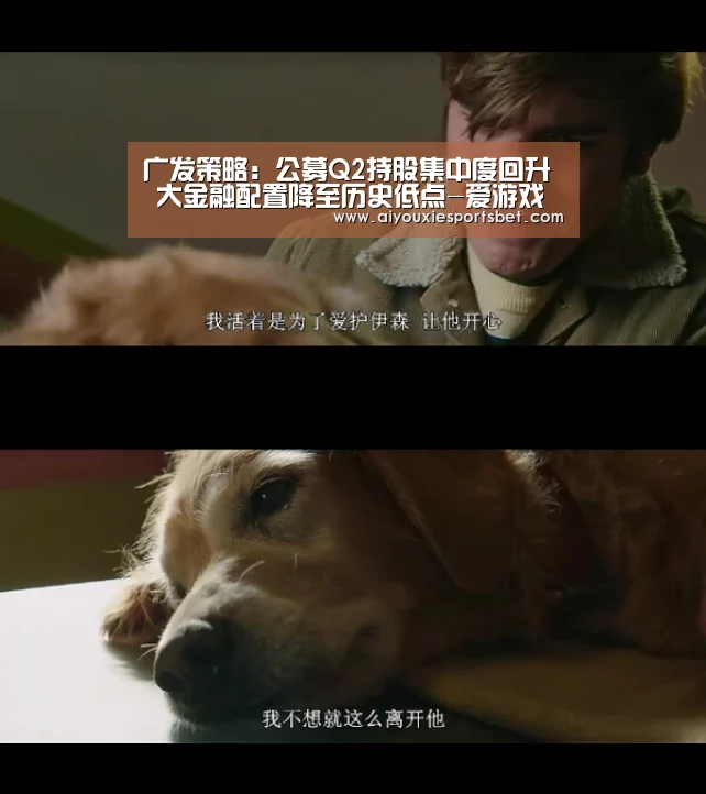 广发策略:公募Q2持股集中度回升 大金融配置降至历史低点-爱游戏平台(图1) 爱游戏平台