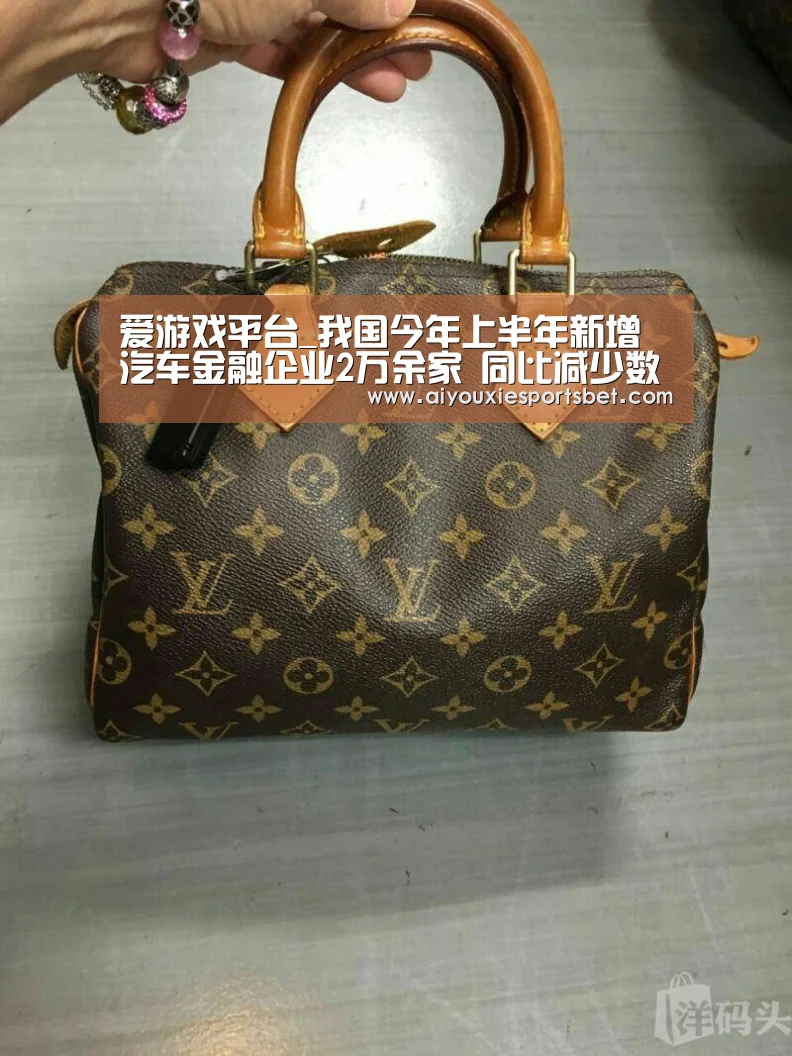 爱游戏平台_我国今年上半年新增汽车金融企业2万余家 同比减少数额为12.3%(图2) 爱游戏娱乐