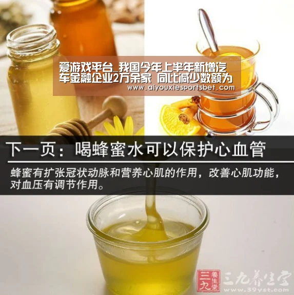 爱游戏平台_我国今年上半年新增汽车金融企业2万余家 同比减少数额为12.3%(图4) 爱游戏娱乐
