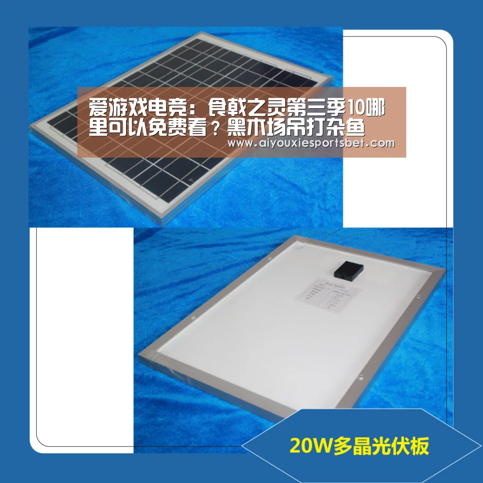 爱游戏电竞:食戟之灵第三季10哪里可以免费看?黑木场吊打杂鱼(图1) 爱游戏平台