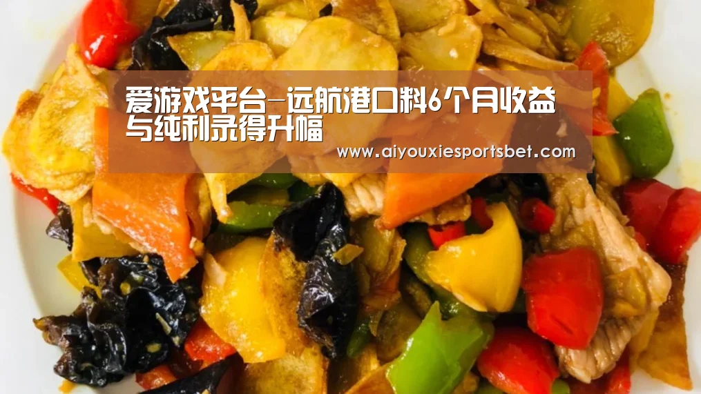 爱游戏平台-远航港口料6个月收益与纯利录得升幅(图1) 爱游戏娱乐