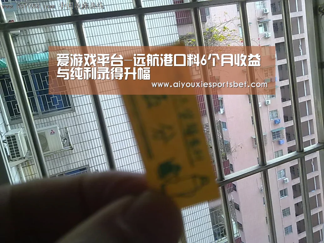爱游戏平台-远航港口料6个月收益与纯利录得升幅(图2) 爱游戏平台