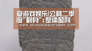 爱游戏娱乐|公募二季度翻身:整体盈利超7500亿 头部化愈演愈烈(图3) 爱游戏娱乐