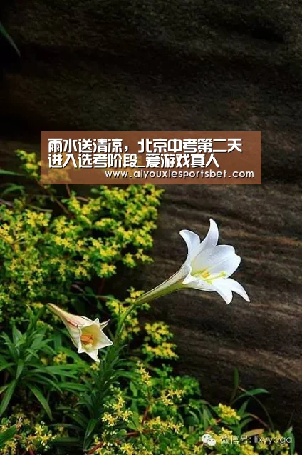 雨水送清凉,北京中考第二天进入选考阶段_爱游戏真人(图3) 爱游戏平台
