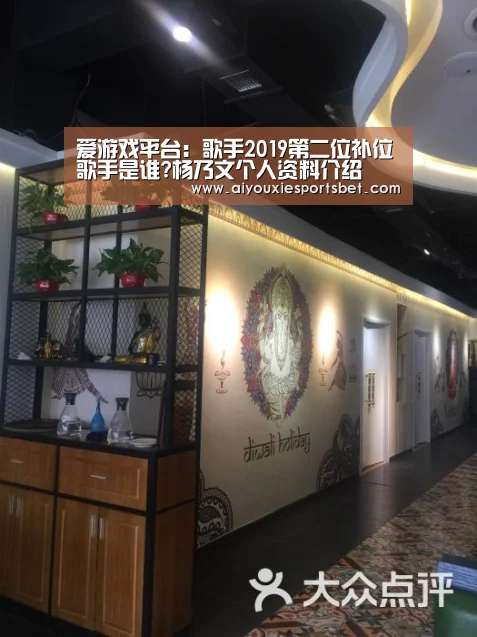 爱游戏平台:歌手2019第二位补位歌手是谁?杨乃文个人资料介绍(图2) 爱游戏平台