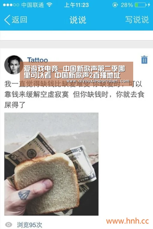 爱游戏电竞-中国新歌声第二季哪里可以看 中国新歌声2直播地址(图2) 爱游戏平台
