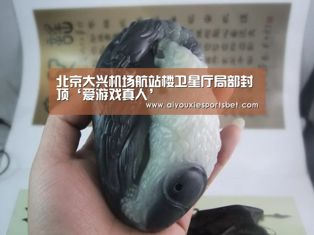 北京大兴机场航站楼卫星厅局部封顶‘爱游戏真人’(图1) 爱游戏真人