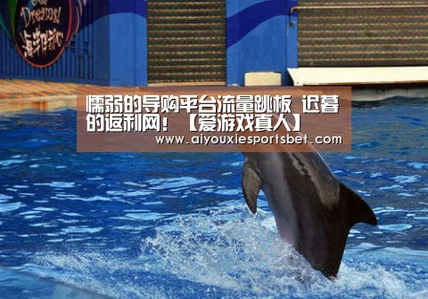 懦弱的导购平台流量跳板 迟暮的返利网!【爱游戏真人】(图2) 爱游戏平台