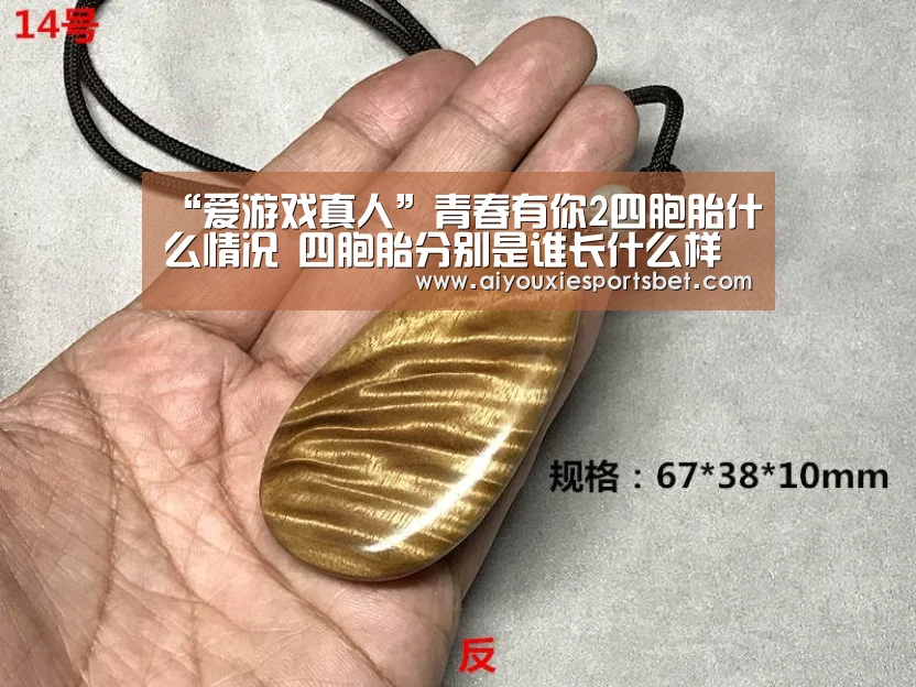 “爱游戏真人”青春有你2四胞胎什么情况 四胞胎分别是谁长什么样(图2) 爱游戏娱乐