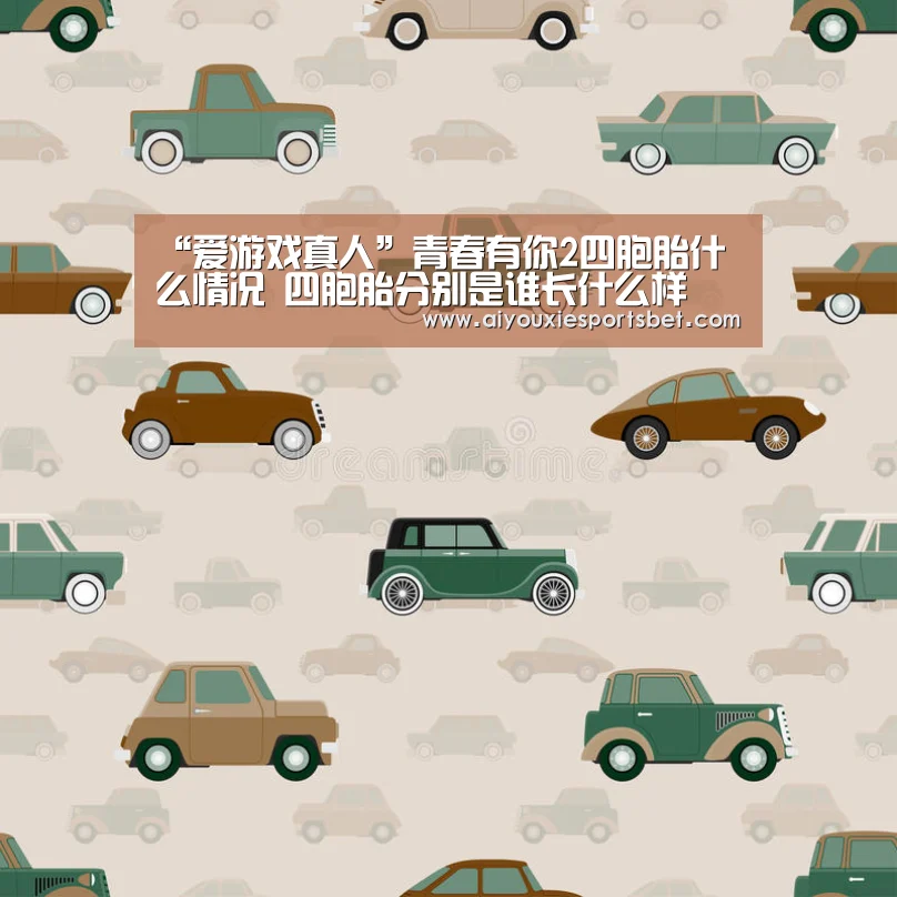 “爱游戏真人”青春有你2四胞胎什么情况 四胞胎分别是谁长什么样(图3) 爱游戏娱乐