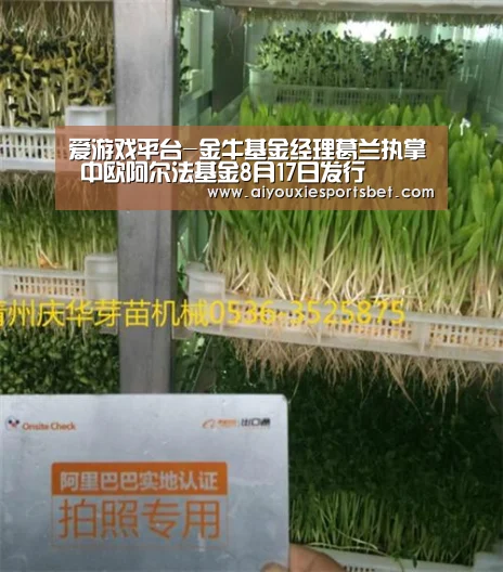 爱游戏真人