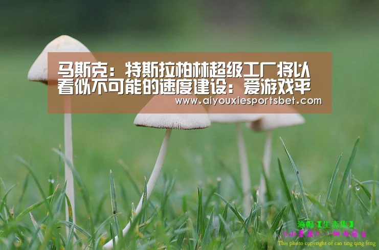 马斯克:特斯拉柏林超级工厂将以看似不可能的速度建设:爱游戏平台(图3) 爱游戏娱乐