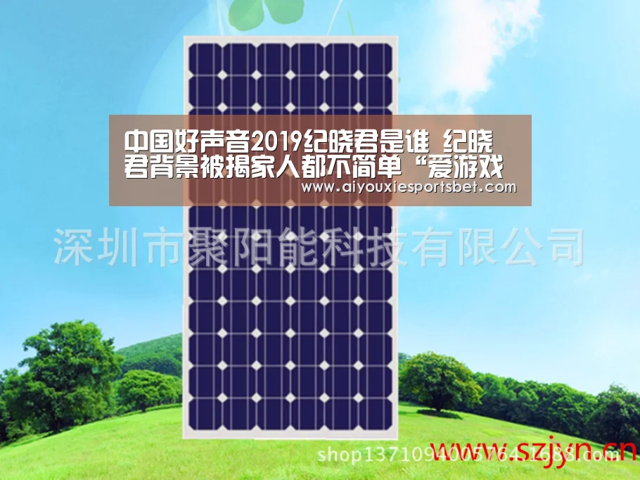 中国好声音2019纪晓君是谁 纪晓君背景被揭家人都不简单“爱游戏真人”(图1) 爱游戏电竞